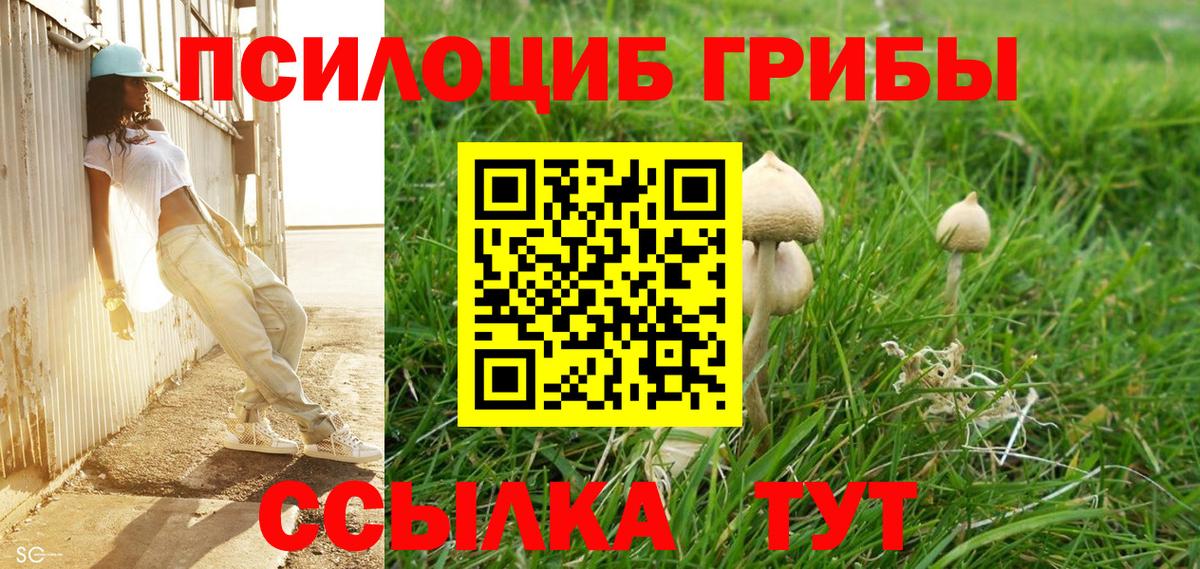 Псилоцибиновые грибы Psilocybe  Вход с VPN  сколько стоит  Саратов 