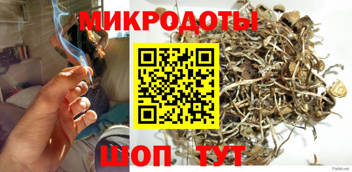 Псилоцибиновые грибы GOLDEN TEACHER Саратов